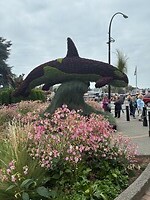 IMG_8939