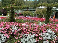 IMG_8942