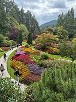 IMG_8948