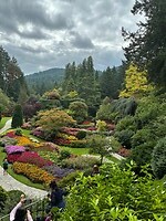 IMG_8946