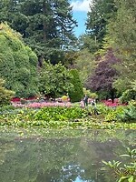 IMG_8950