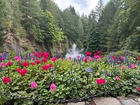 IMG_8953