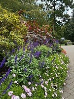 IMG_8956