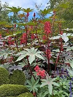 IMG_8957