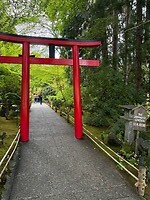 IMG_8966