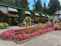 IMG_8971