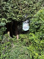 IMG_8968
