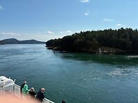 IMG_8983