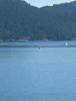IMG_7580