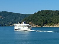 IMG_8986