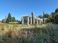 IMG_8994
