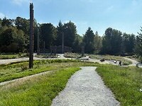 IMG_8996