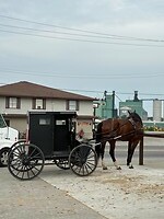 IMG_9019
