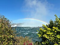 IMG_9118