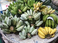 20190307_095457