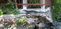 IMG-20190307-WA0007