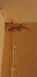 IMG-20190311-WA0052