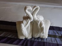 IMG-20190309-WA0017