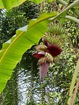 IMG-20190319-WA0047