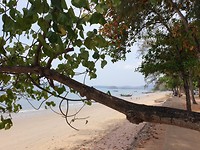 IMG-20190319-WA0045