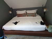 IMG-20190319-WA0050