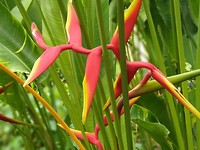 IMG-20190319-WA0048