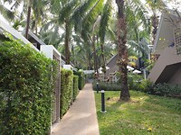 IMG-20190319-WA0049