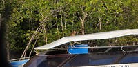 IMG-20190319-WA0015