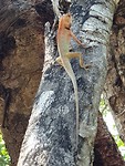 IMG-20190319-WA0042