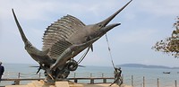 IMG-20190319-WA0026