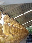 IMG-20190328-WA0034