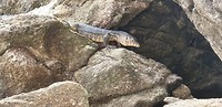 IMG-20190328-WA0016