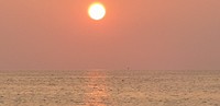 IMG-20190328-WA0012
