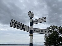 IMG_9217