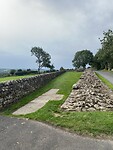 IMG_9398