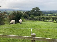 IMG_9416