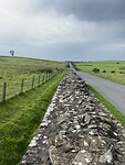 IMG_9425