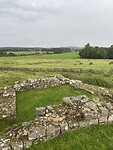 IMG_9442