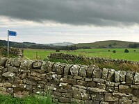 IMG_9463