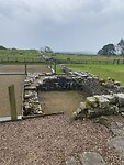 IMG_9451