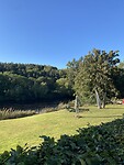 IMG_9590
