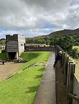 IMG_9502
