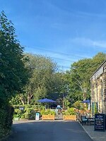 IMG_9631(1)