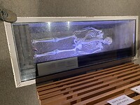 IMG_9671(1)