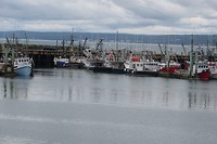 Digby1