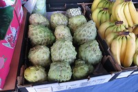 Custard apple, een zoete vrucht