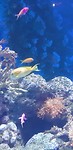 20190426_122612