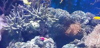 20190426_122620