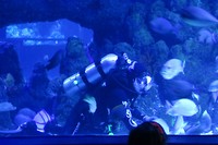 IMG_3809
