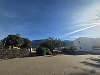 Denia boom bij de berg